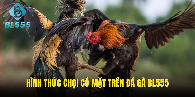 Tổng hợp hình thức chọi có mặt trên nền tảng